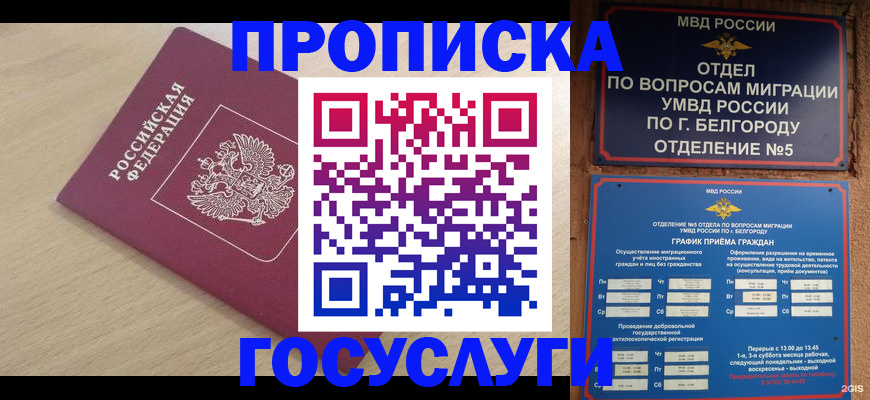 прописка законно в Кувшиново